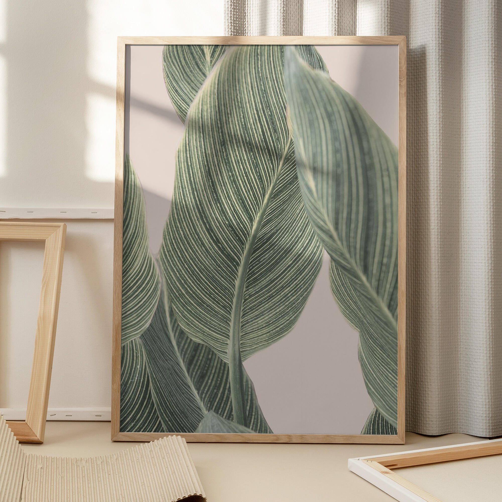 Calla Leaf