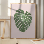 Monstera Leaf Blush