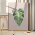 Tropical Leaf Blush