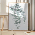 Eucalyptus I
