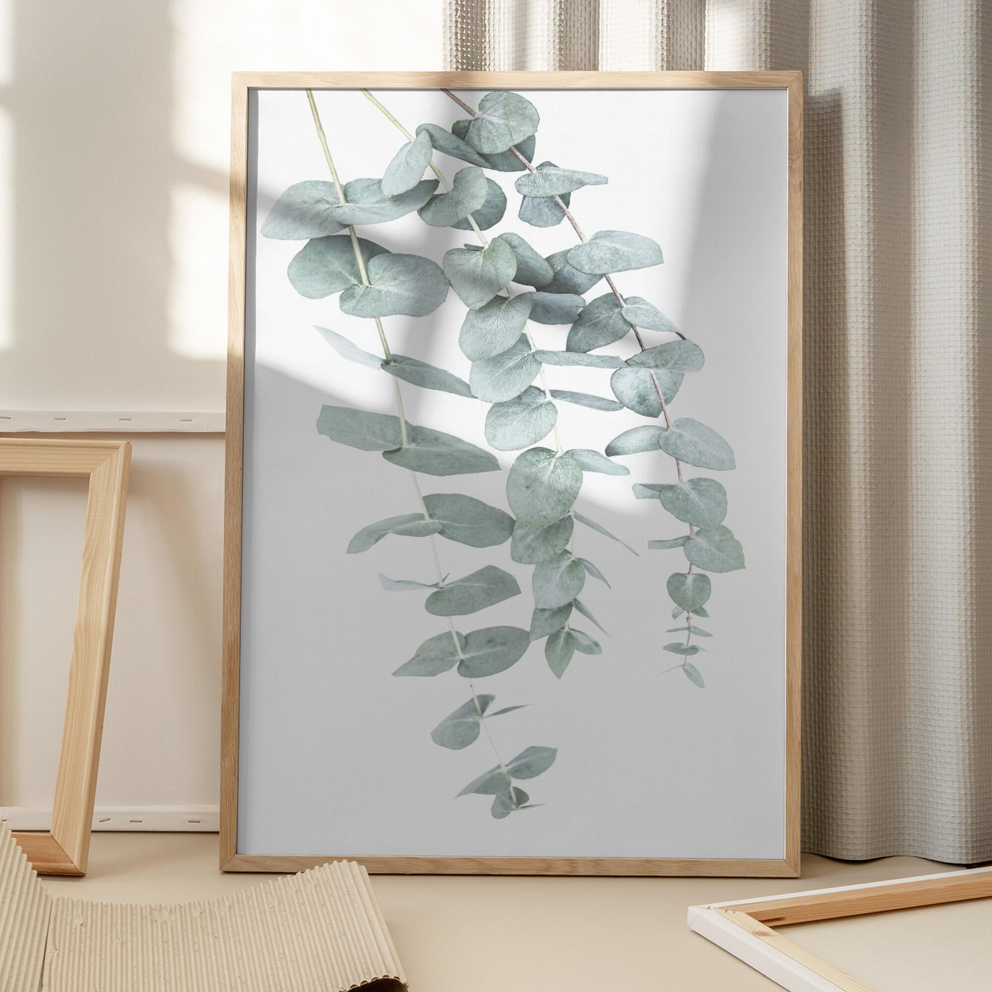 Eucalyptus I