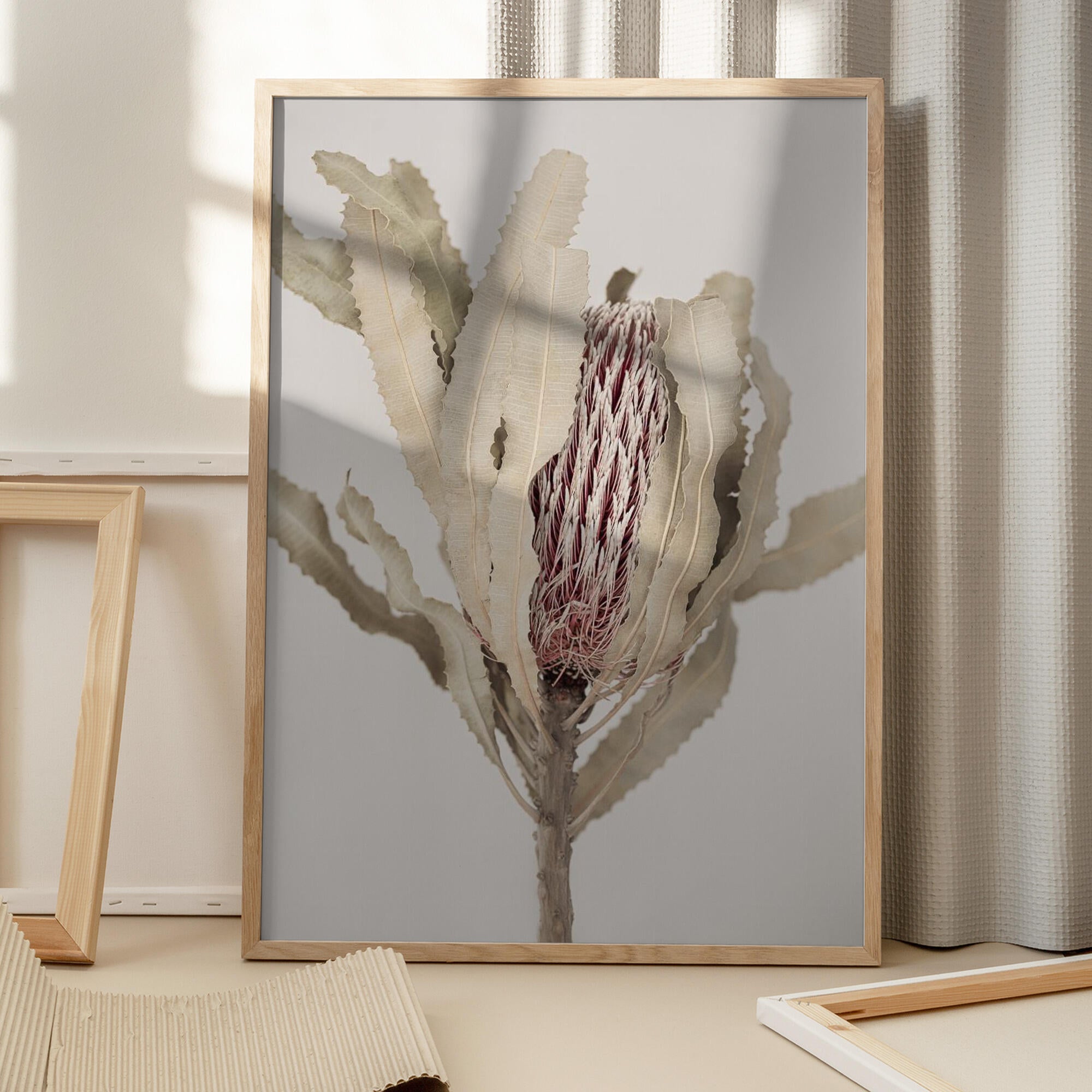 Banksia
