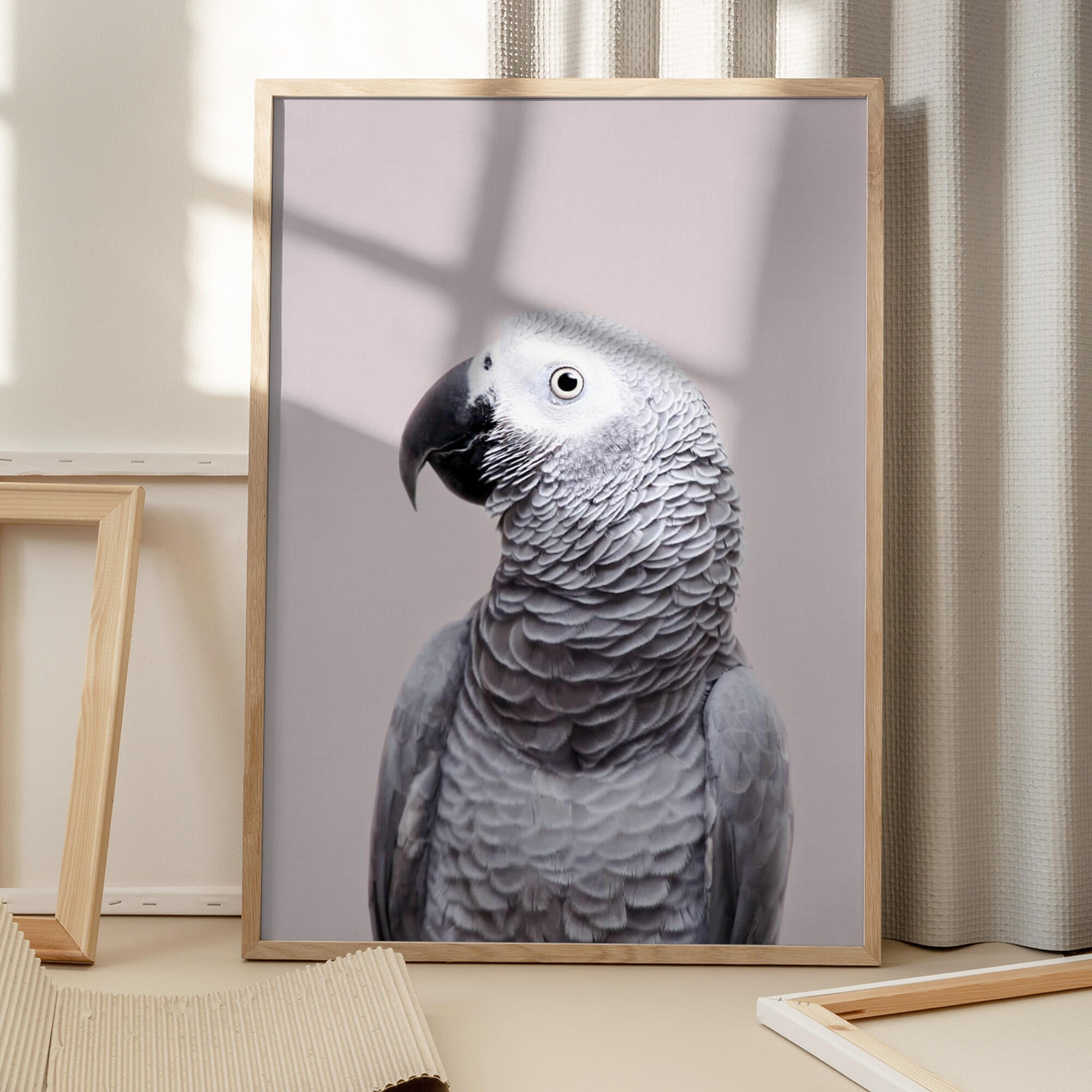 African Grey