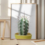 Spikey Cactus
