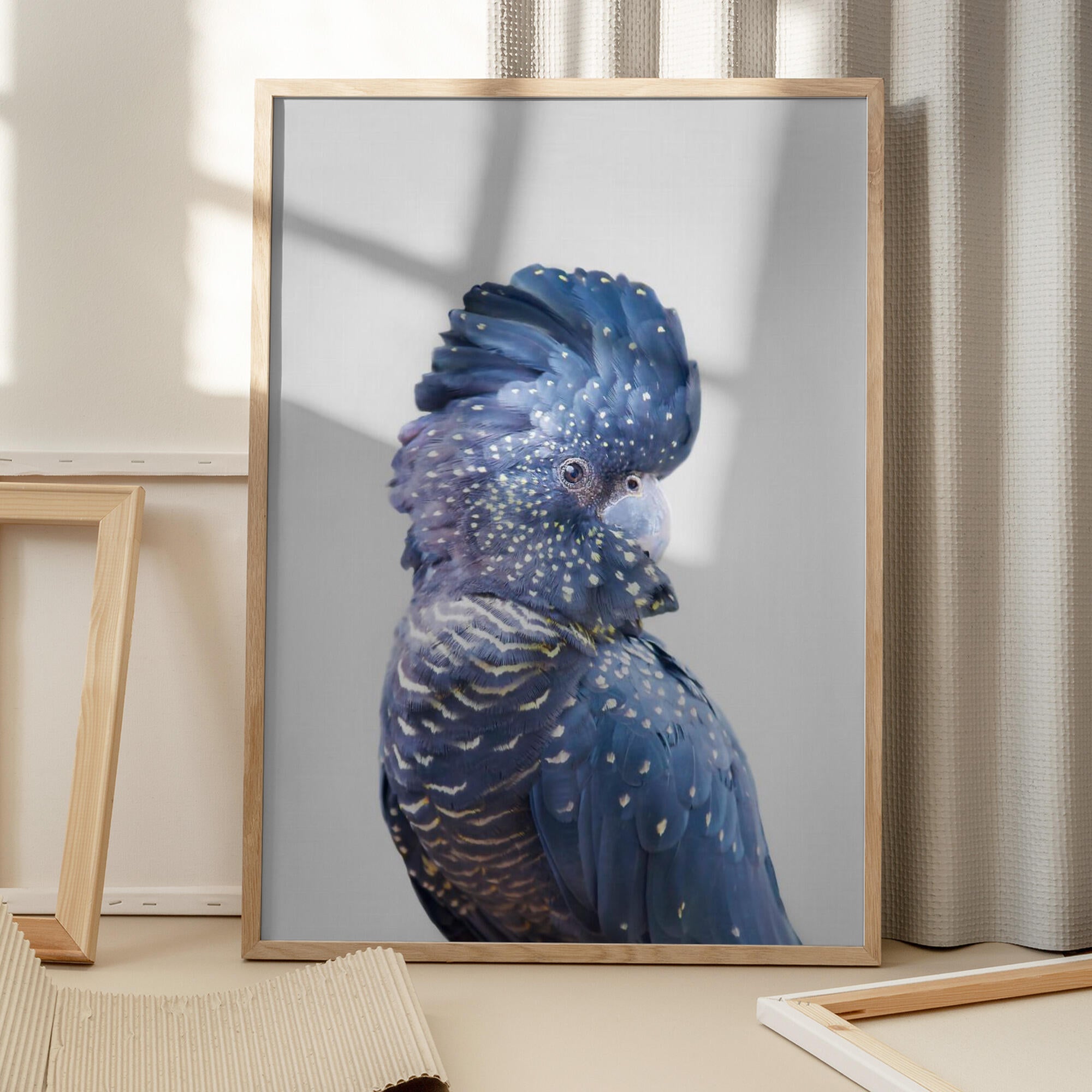 Black Cockatoo