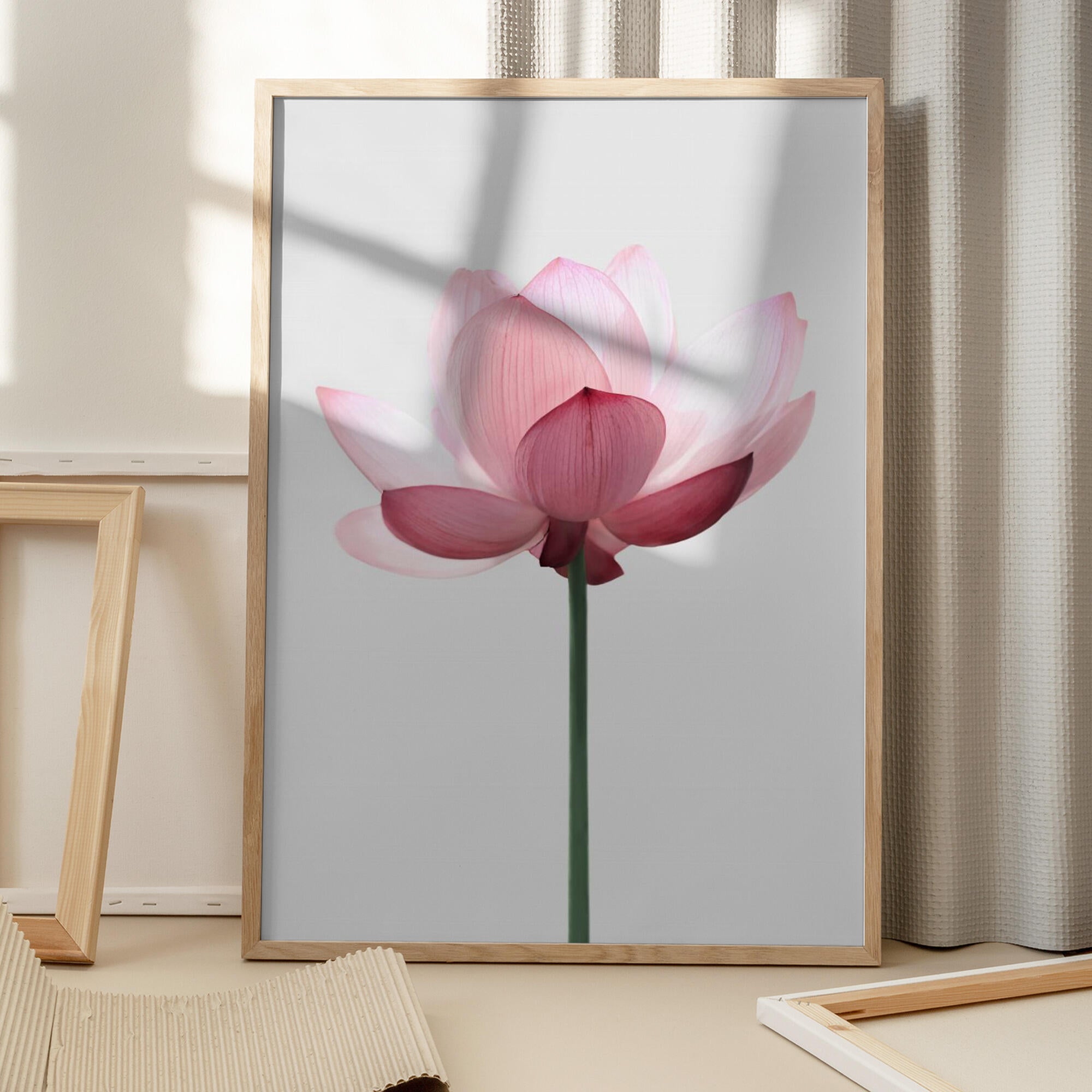 Lotus Flower