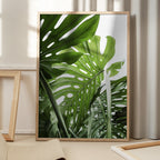 Jungle