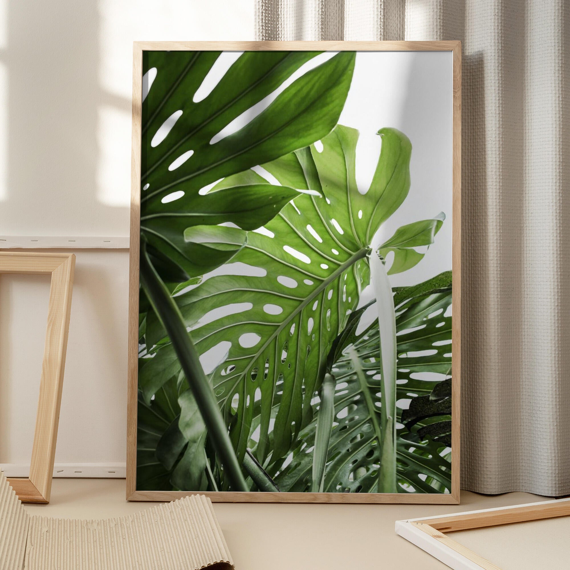 Jungle