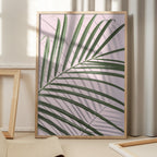 Palm Leaf Shadow