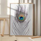 Peacock Feather