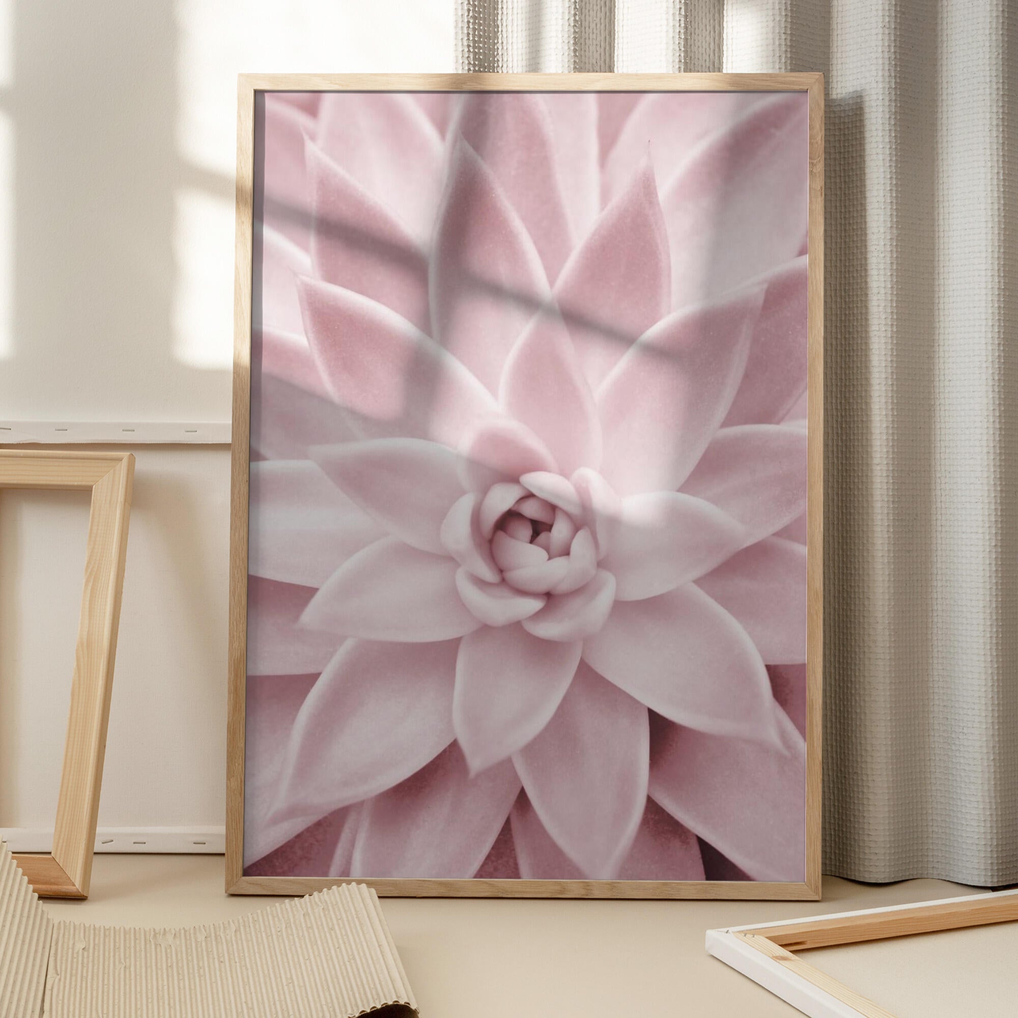 Pink Succulent