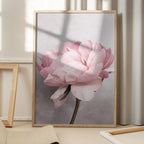 Peony