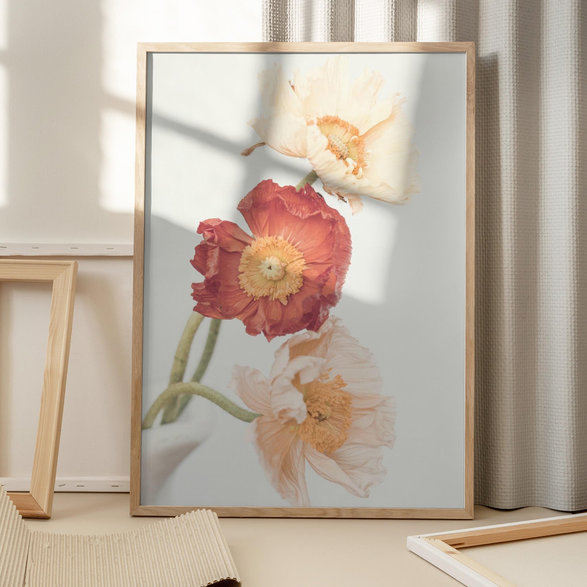Poppies