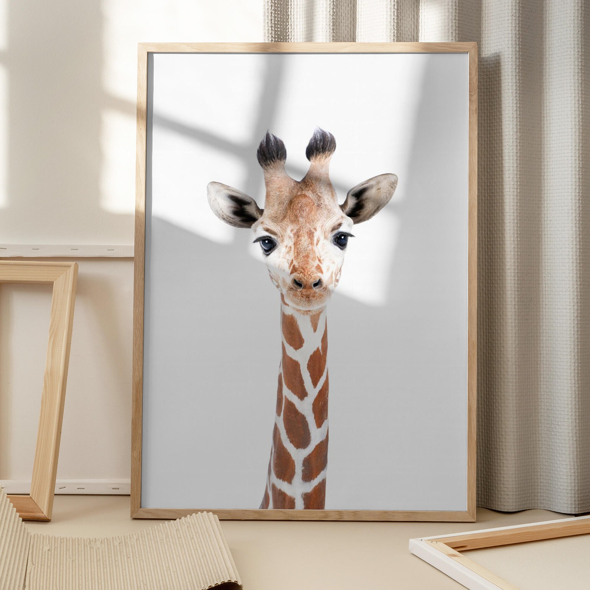 Baby Giraffe