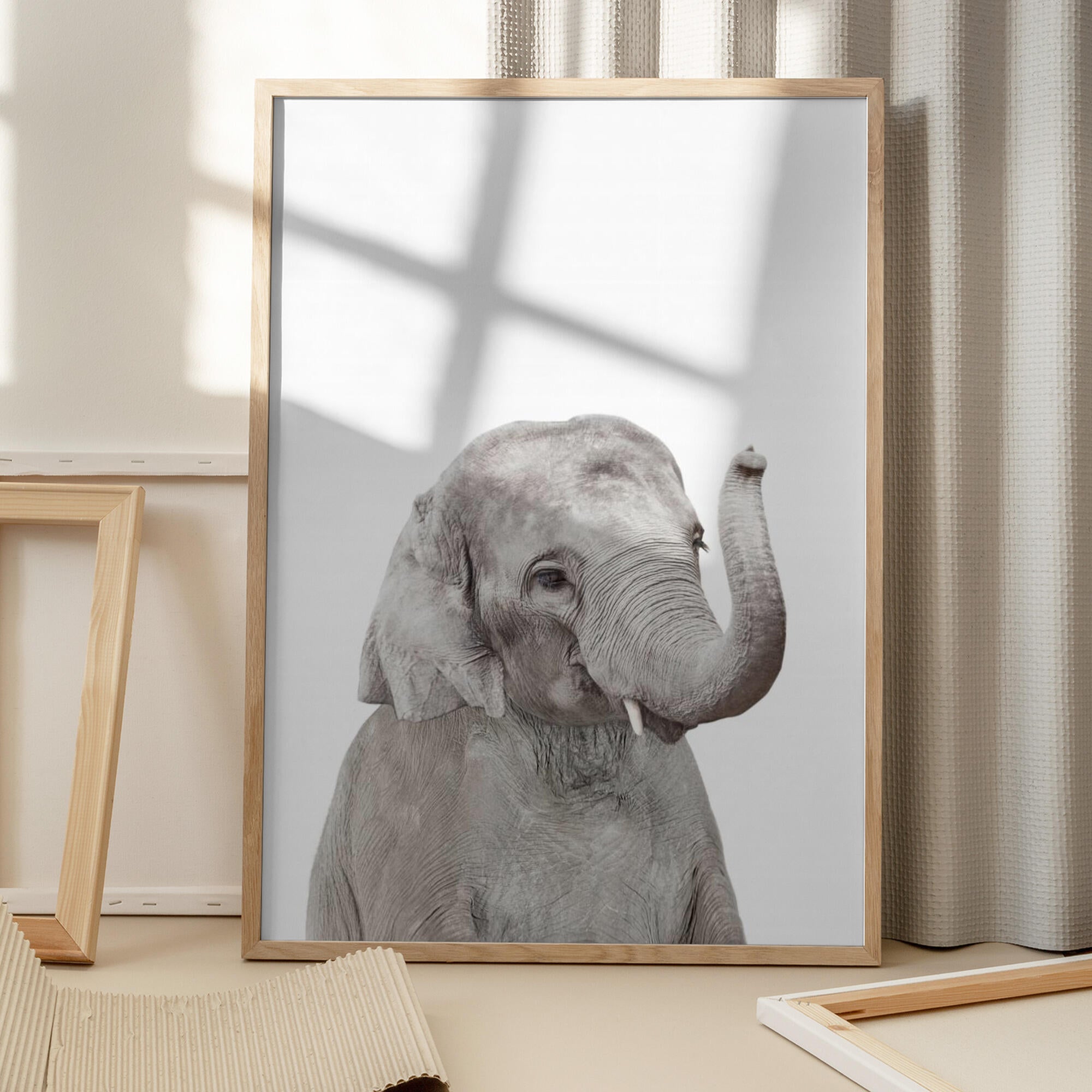 Baby Elephant
