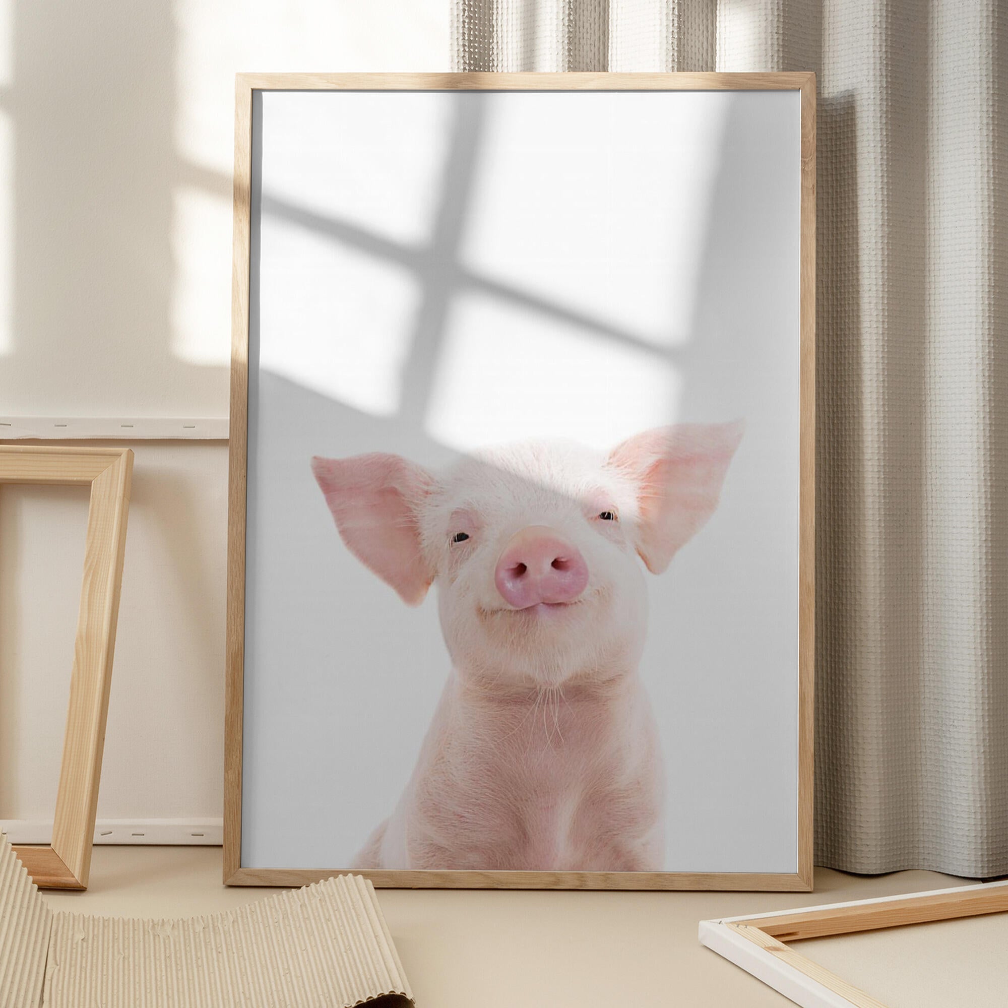 Baby Pig