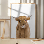 Baby Cow