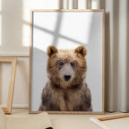 Baby Bear