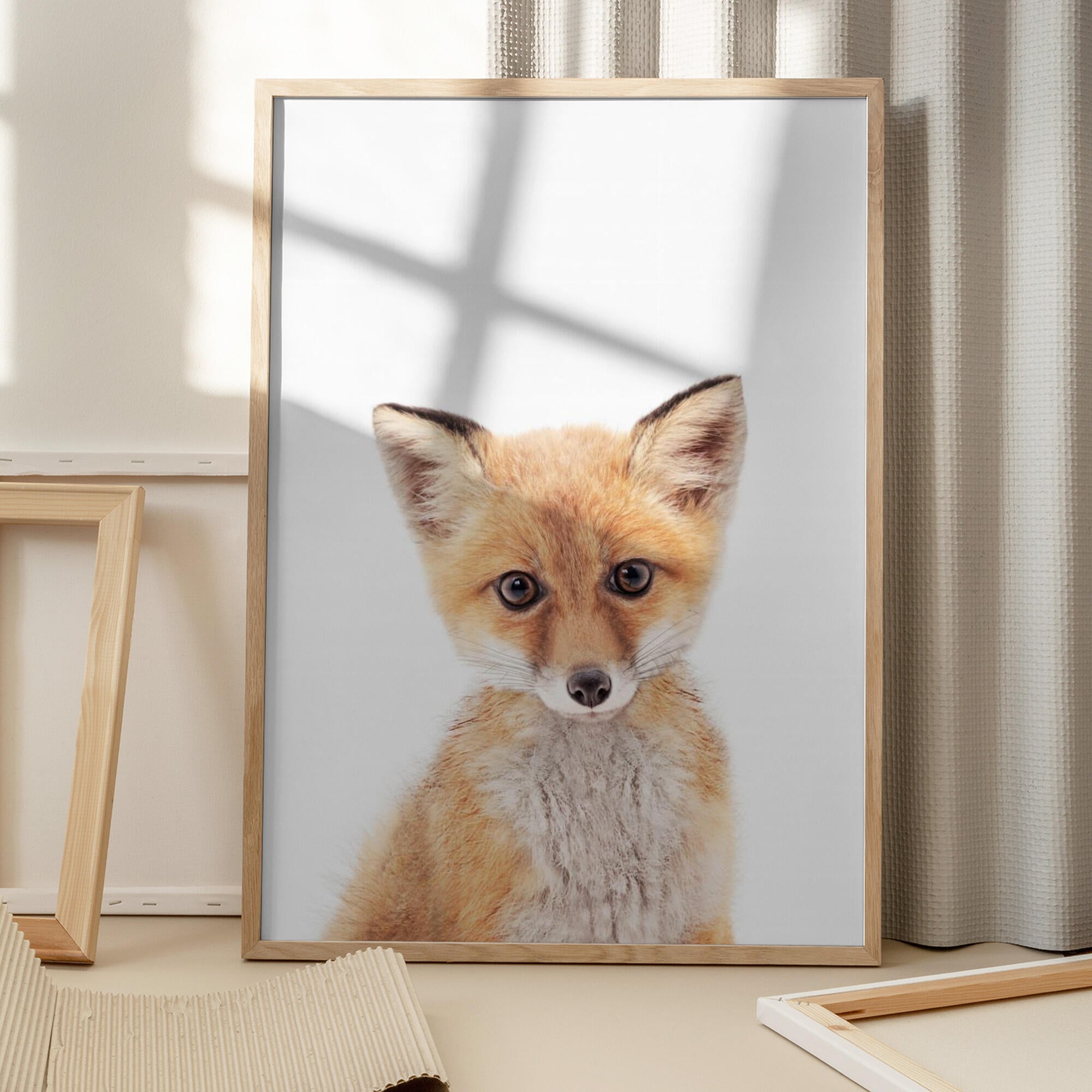 Baby Fox
