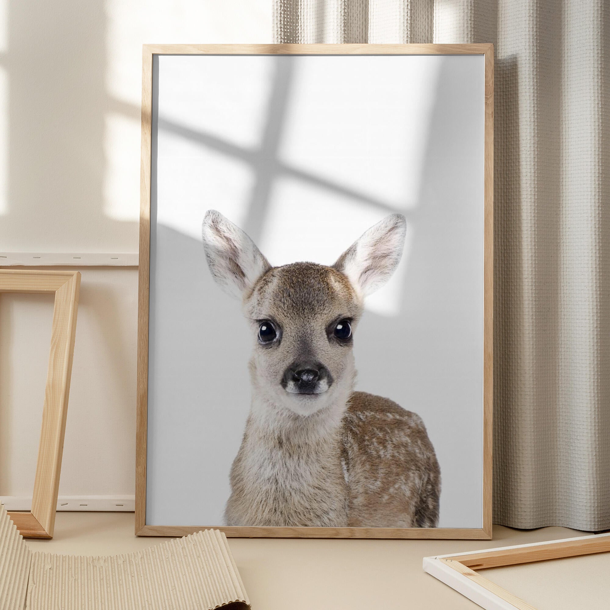 Baby Deer