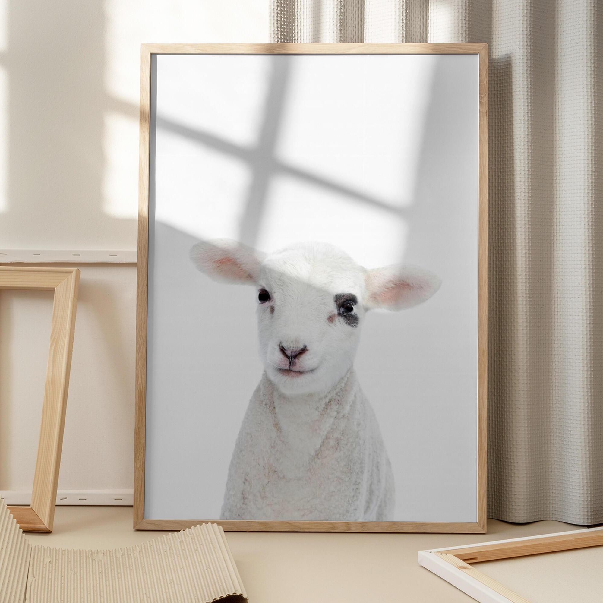 Baby Lamb