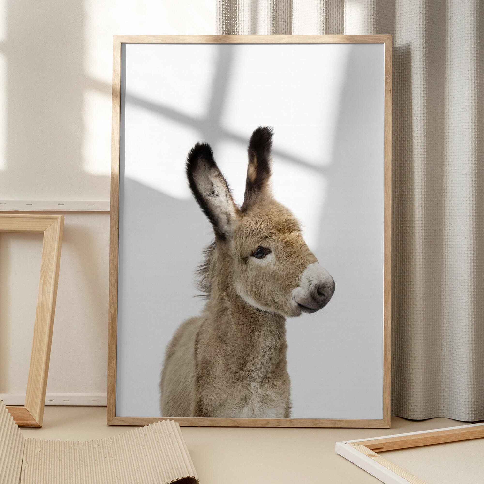 Baby Donkey