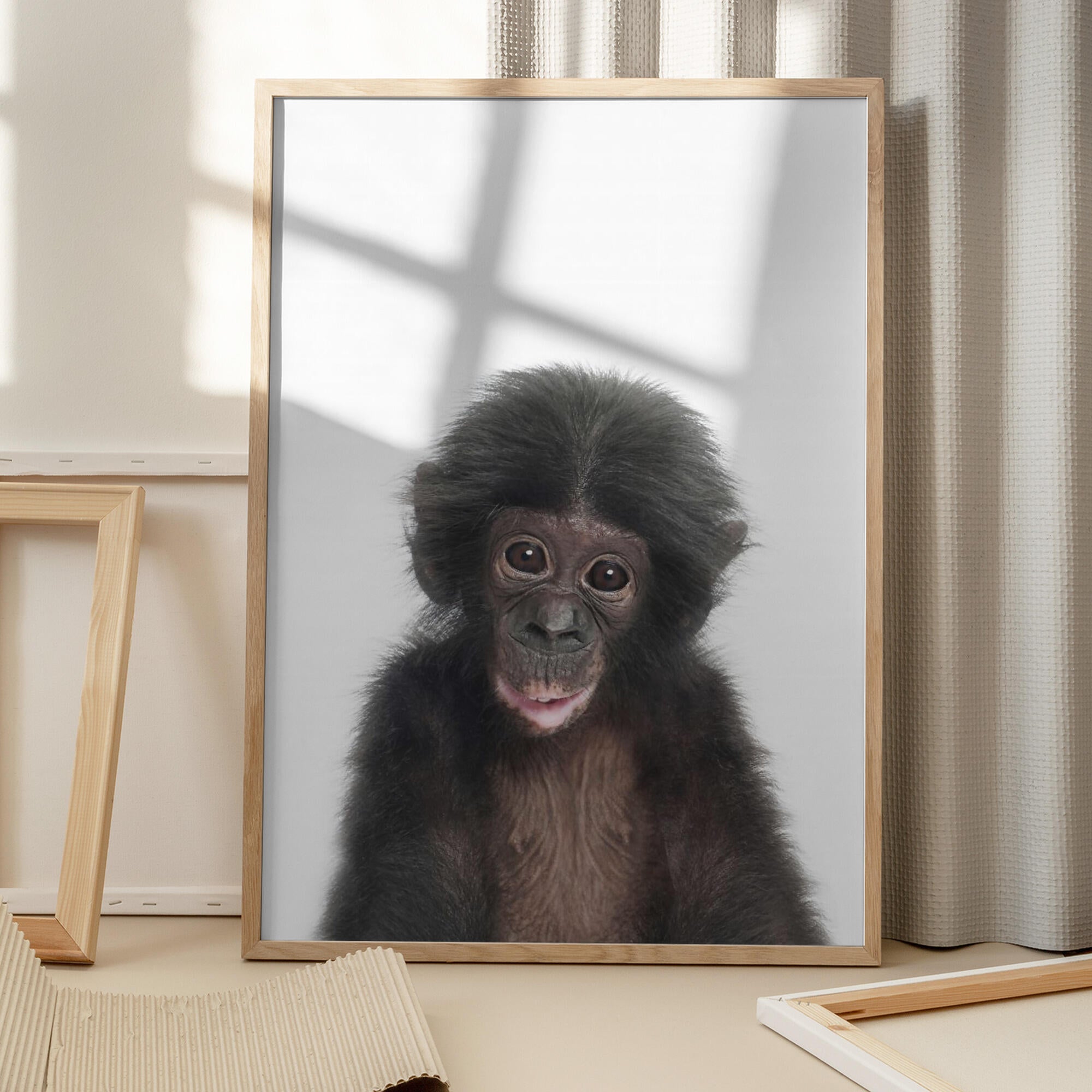 Baby Monkey
