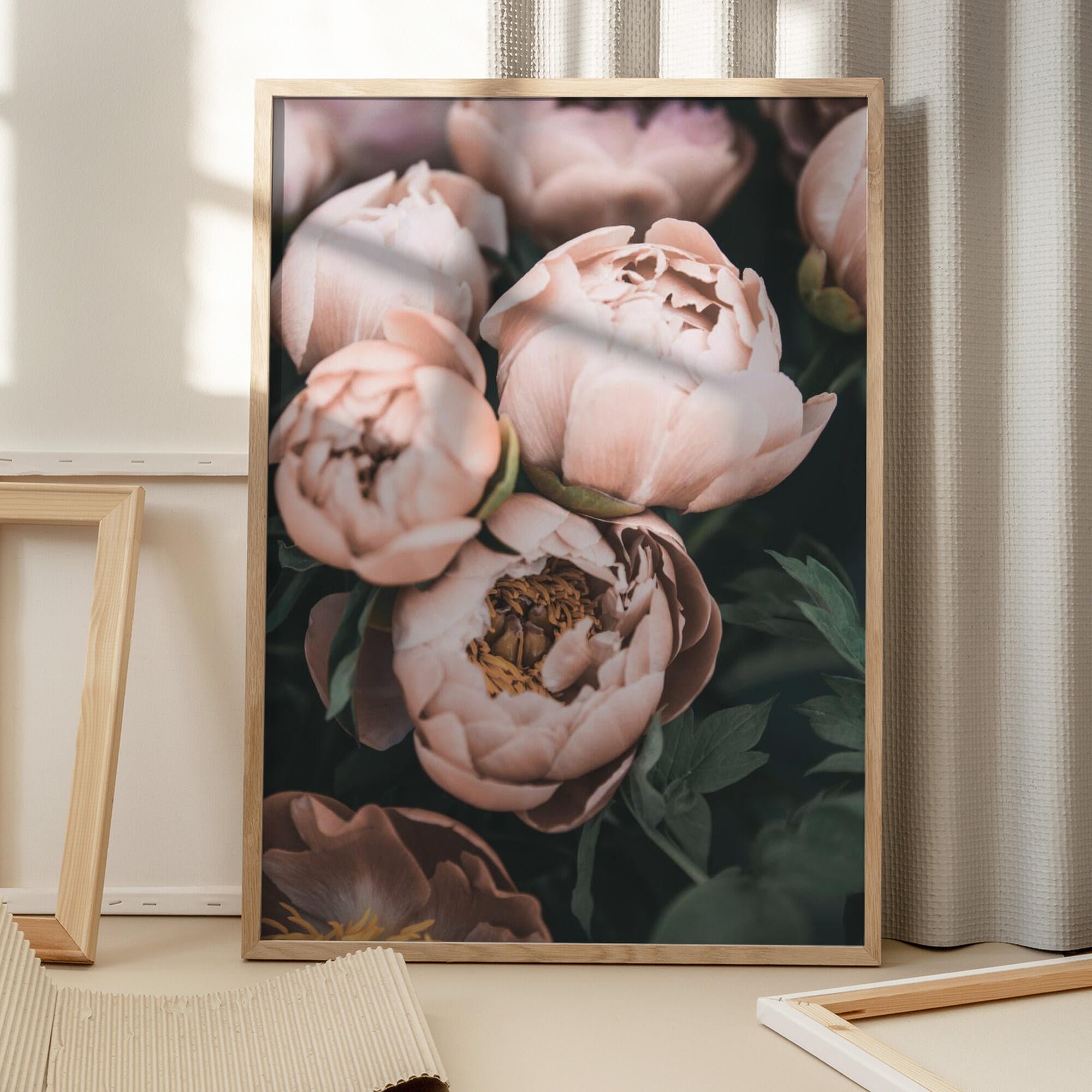 Coral Peonies