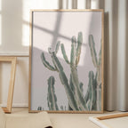Sunrise Cactus
