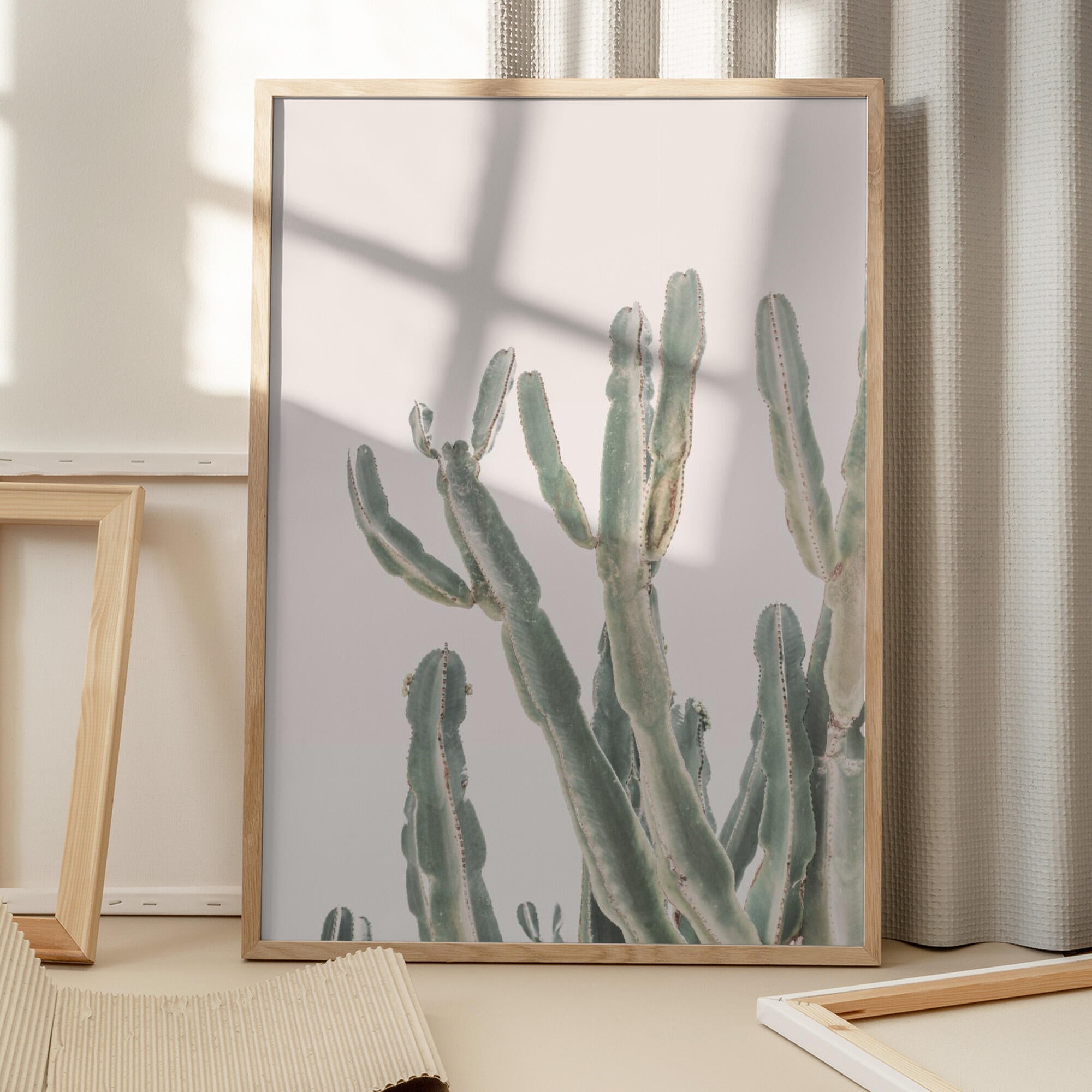 Sunrise Cactus
