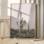 Pink Saguaro
