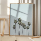 Blue Palm Trees