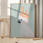 Cockatoo