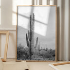 Saguaro B&amp;W