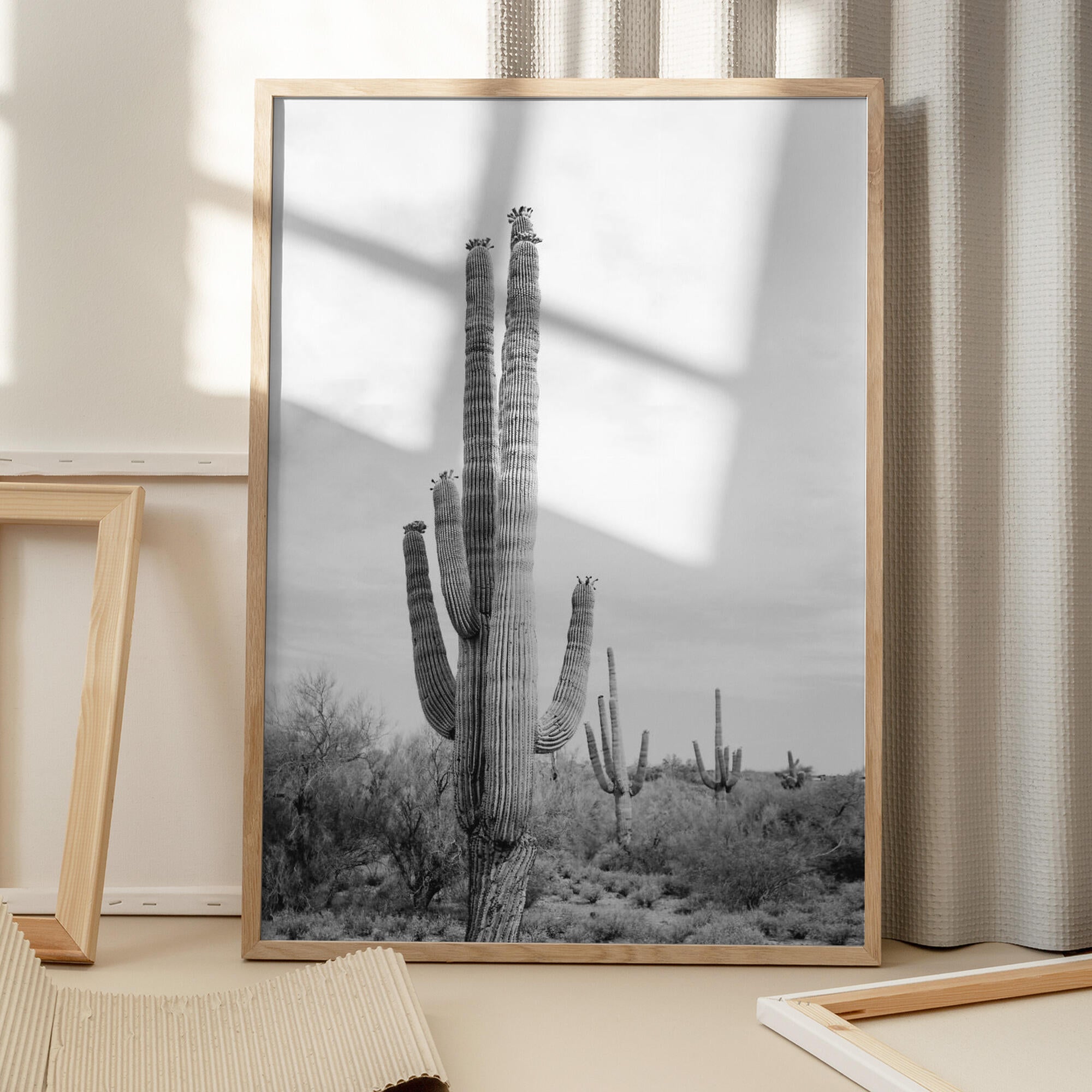 Saguaro B&amp;W
