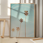 Sunny Cali Palm Tree