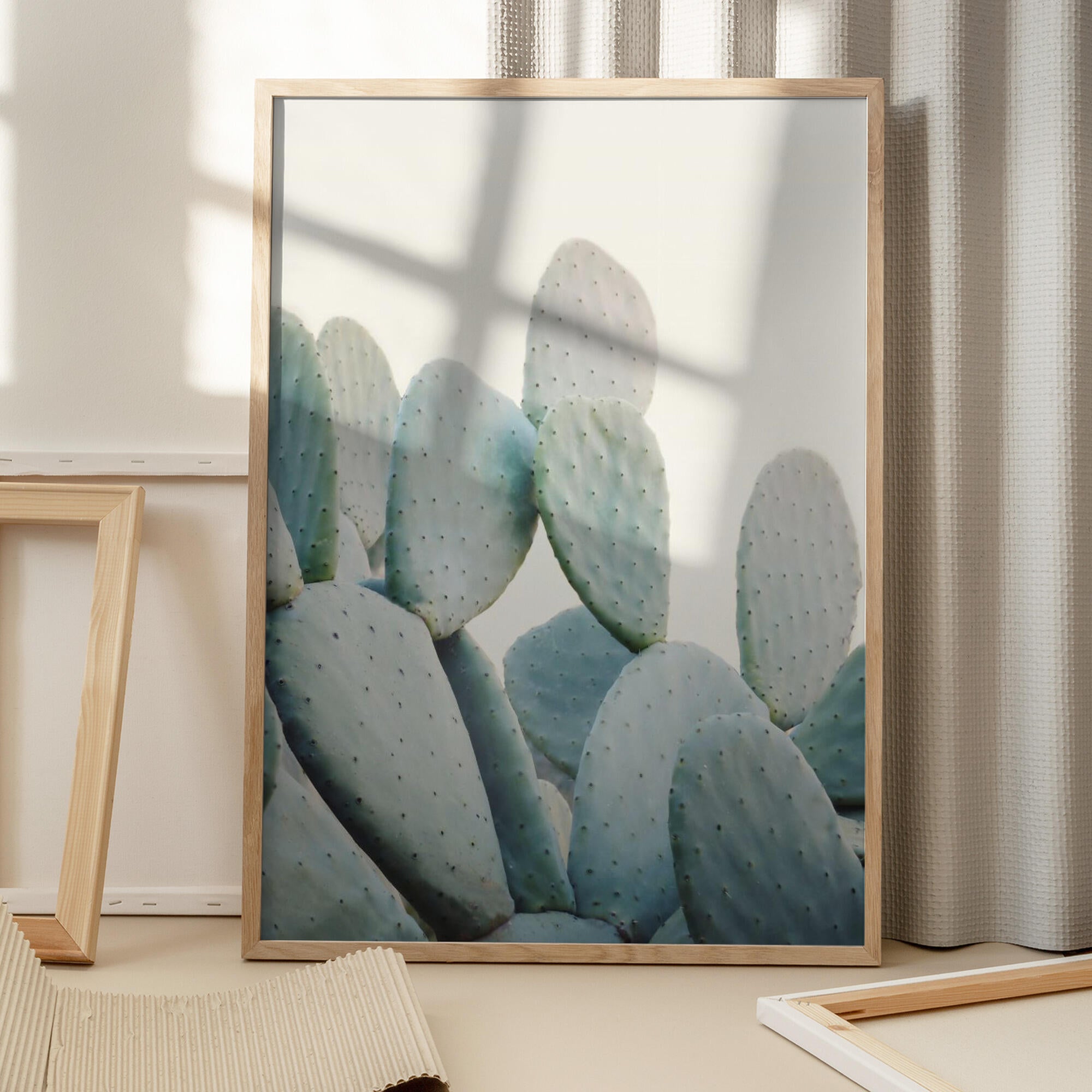 Pastel Cacti