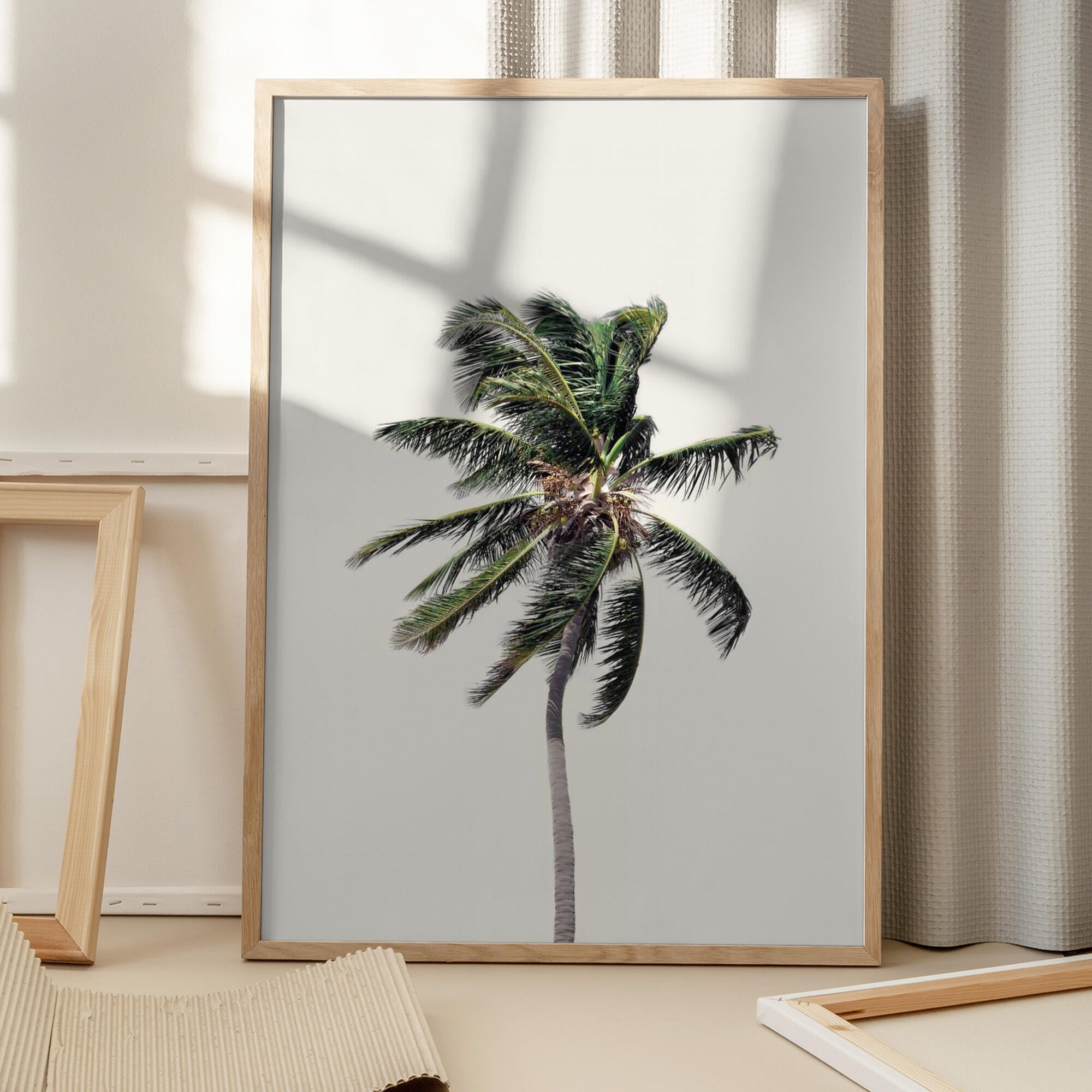 Windy Palm Tree