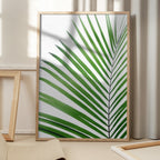 Green Palm Leaf