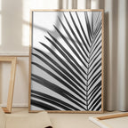 BW Palm Leaf