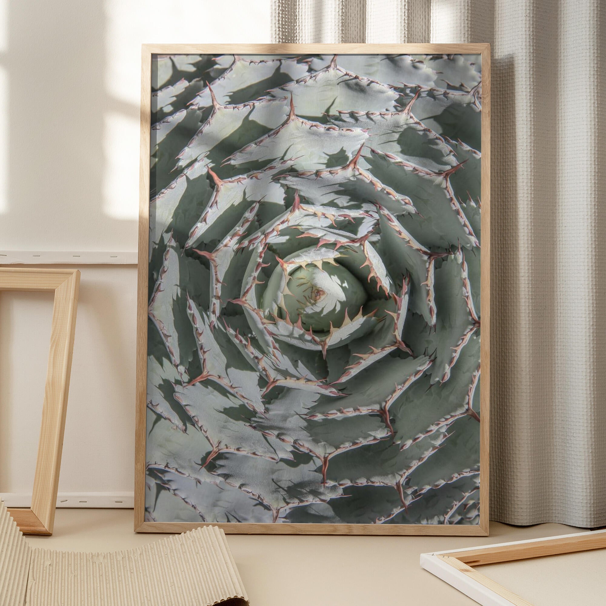 Spiral Succulent Maze