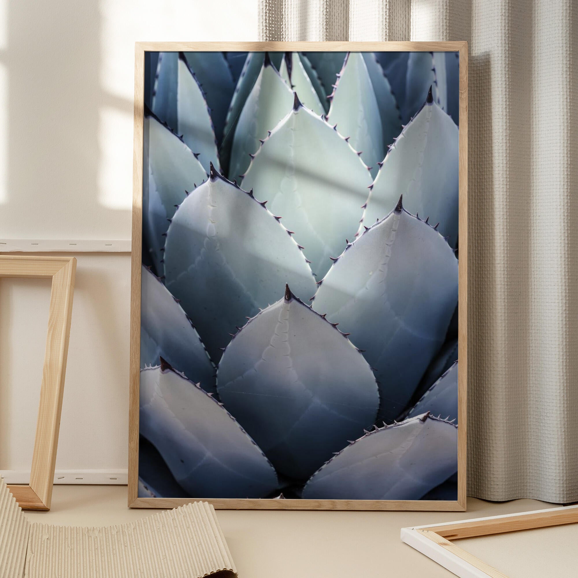 Agave Geometry