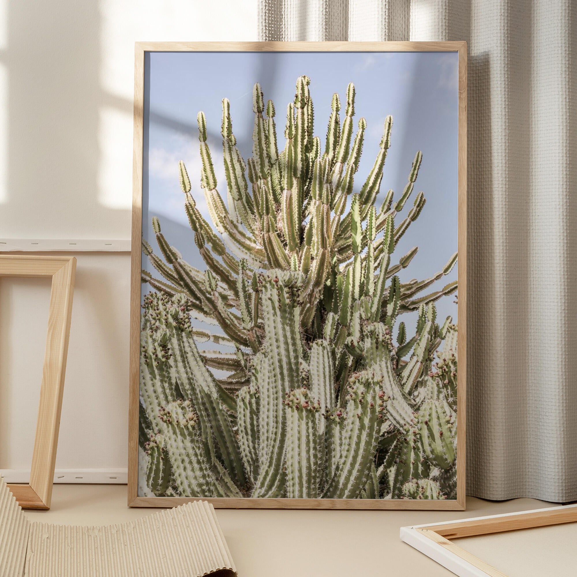 Cactus Symphony
