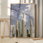 Desert Sentinels