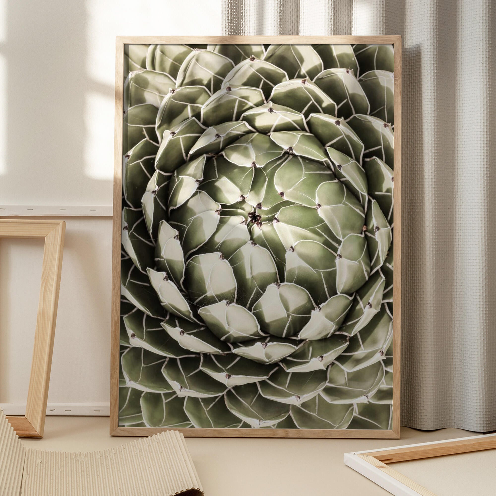 Geometric Succulent