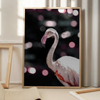 Flamingo Elegance