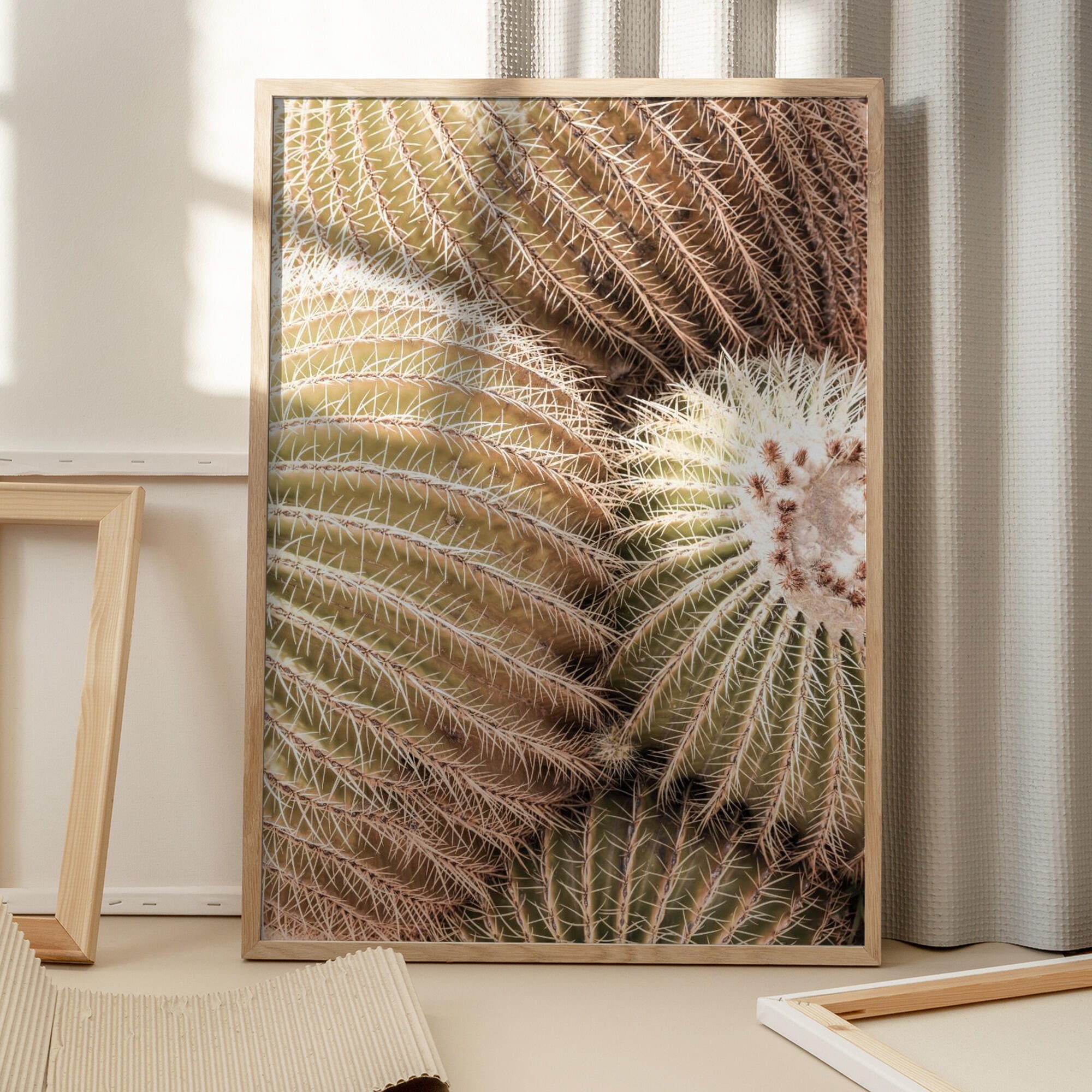 Spiral of Spines