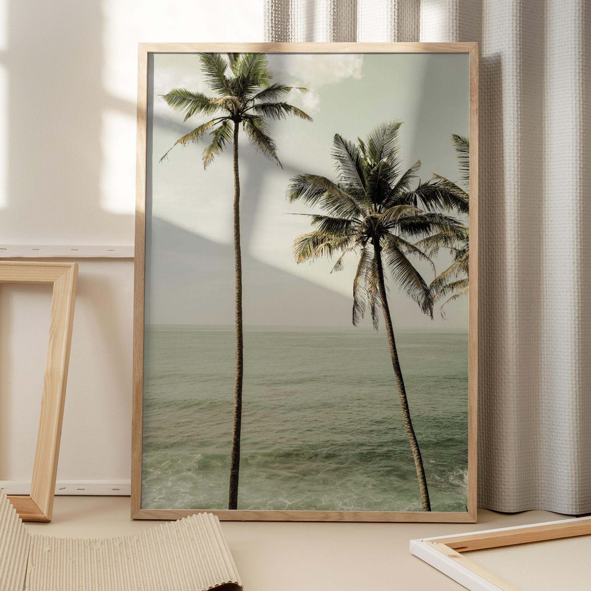 Oceanside Palms