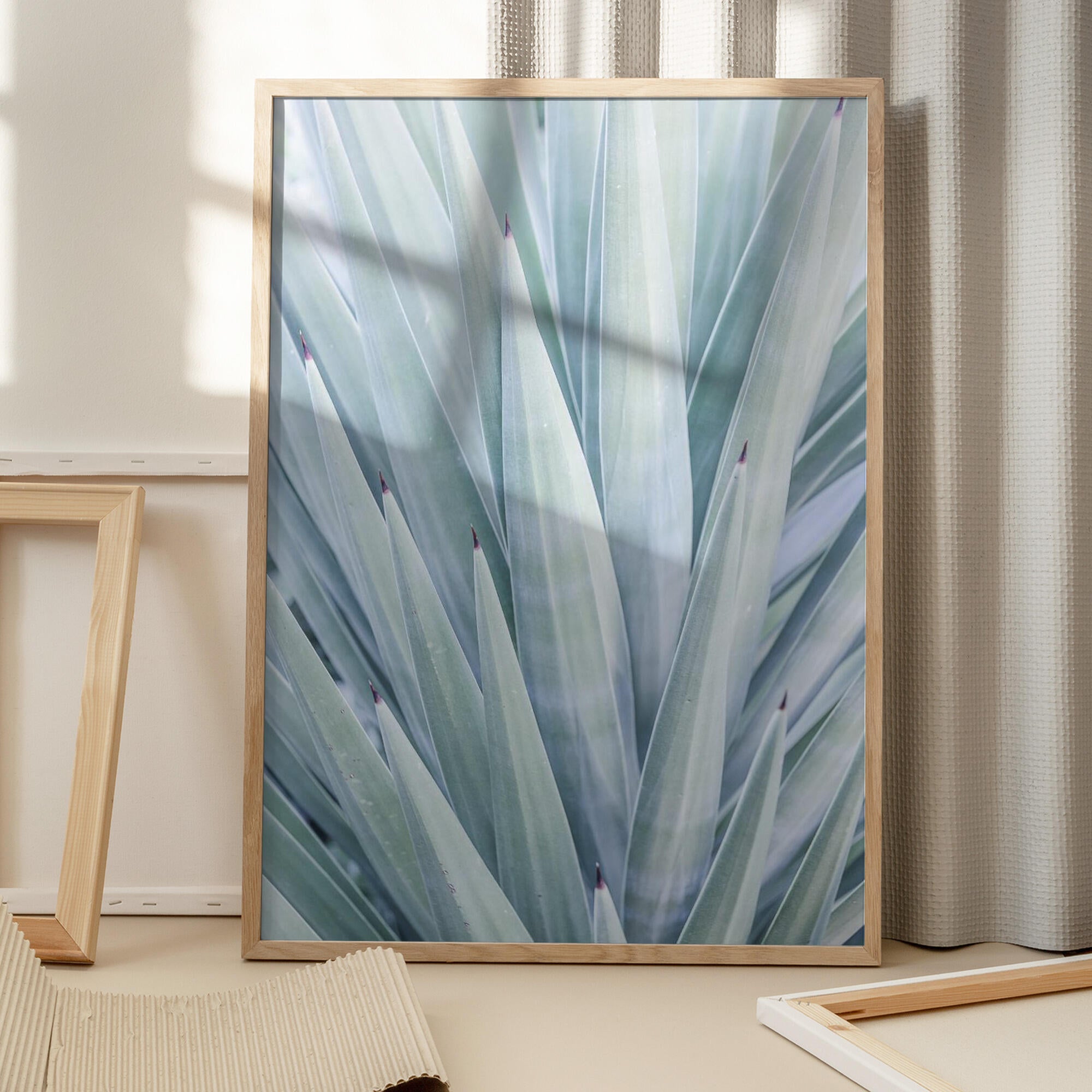 Azure Agave Dance
