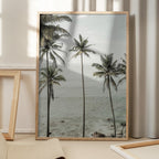 Tropical Dreams